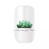 Cute Succulent LED Grow Light